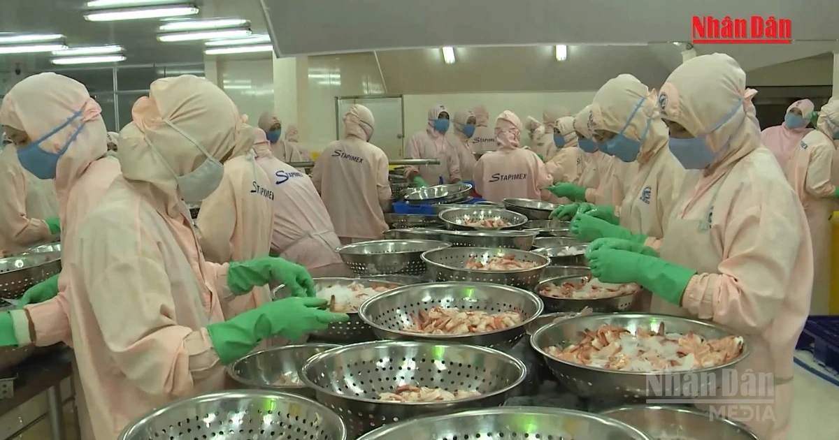 [Video] Fisheries sector targets 12 billion USD in exports