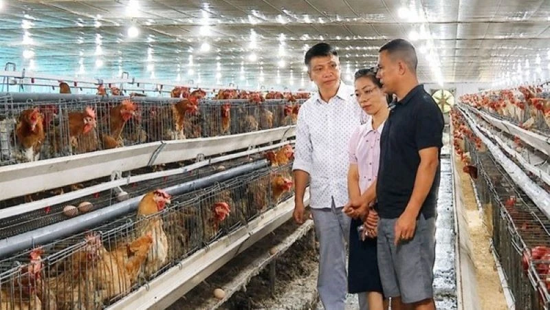 Bac Ninh develops modern and efficient collective economy