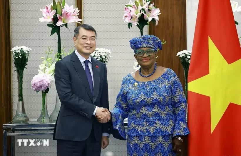 Vietnam PM Le Minh Hung Urges Continued WTO Support for Trade Capacity Building