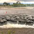 Prolonged dry conditions will deplete water resources. (Photo: Quang Nguyen)