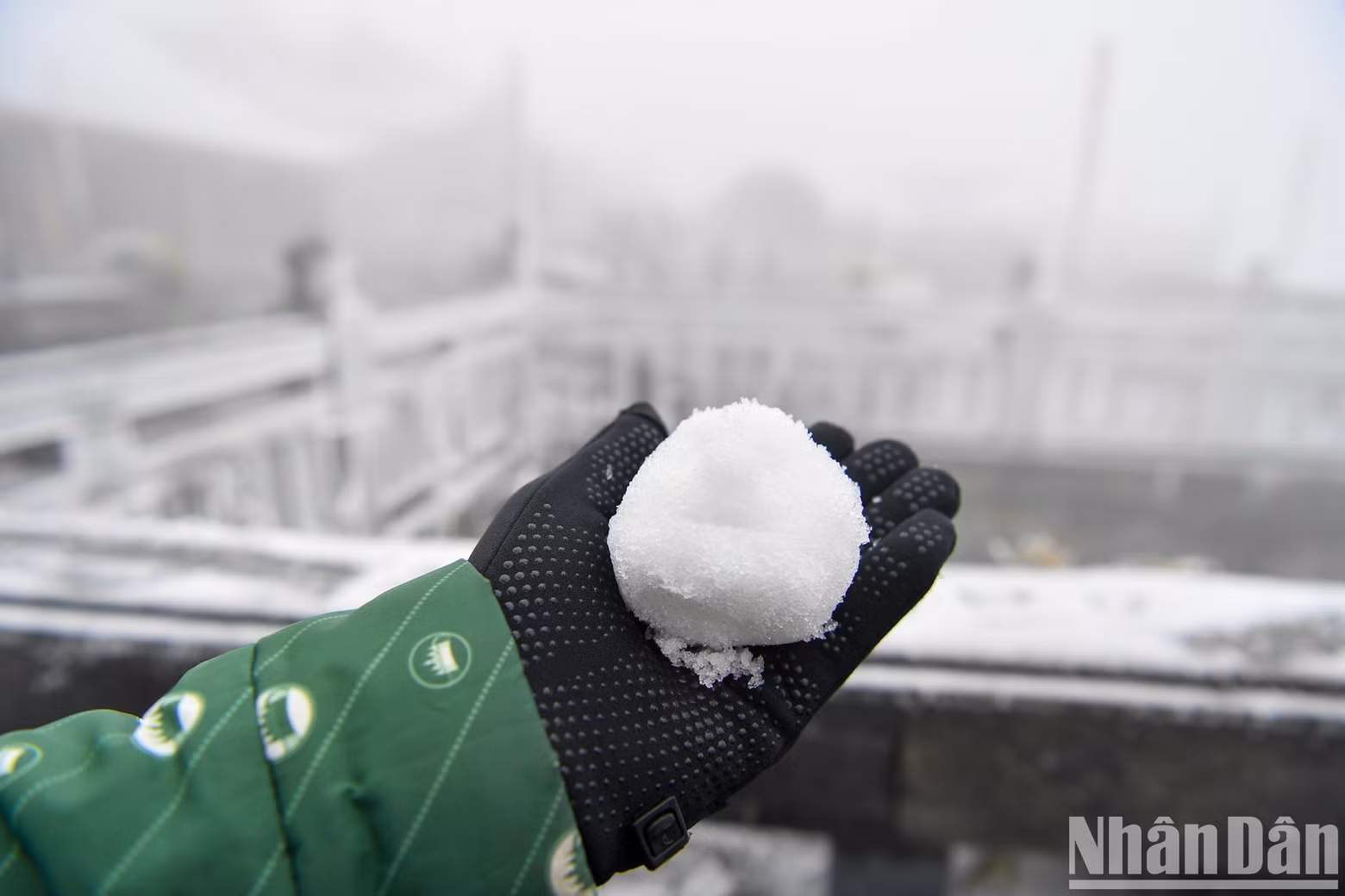 A tourist plays with a snowball.
