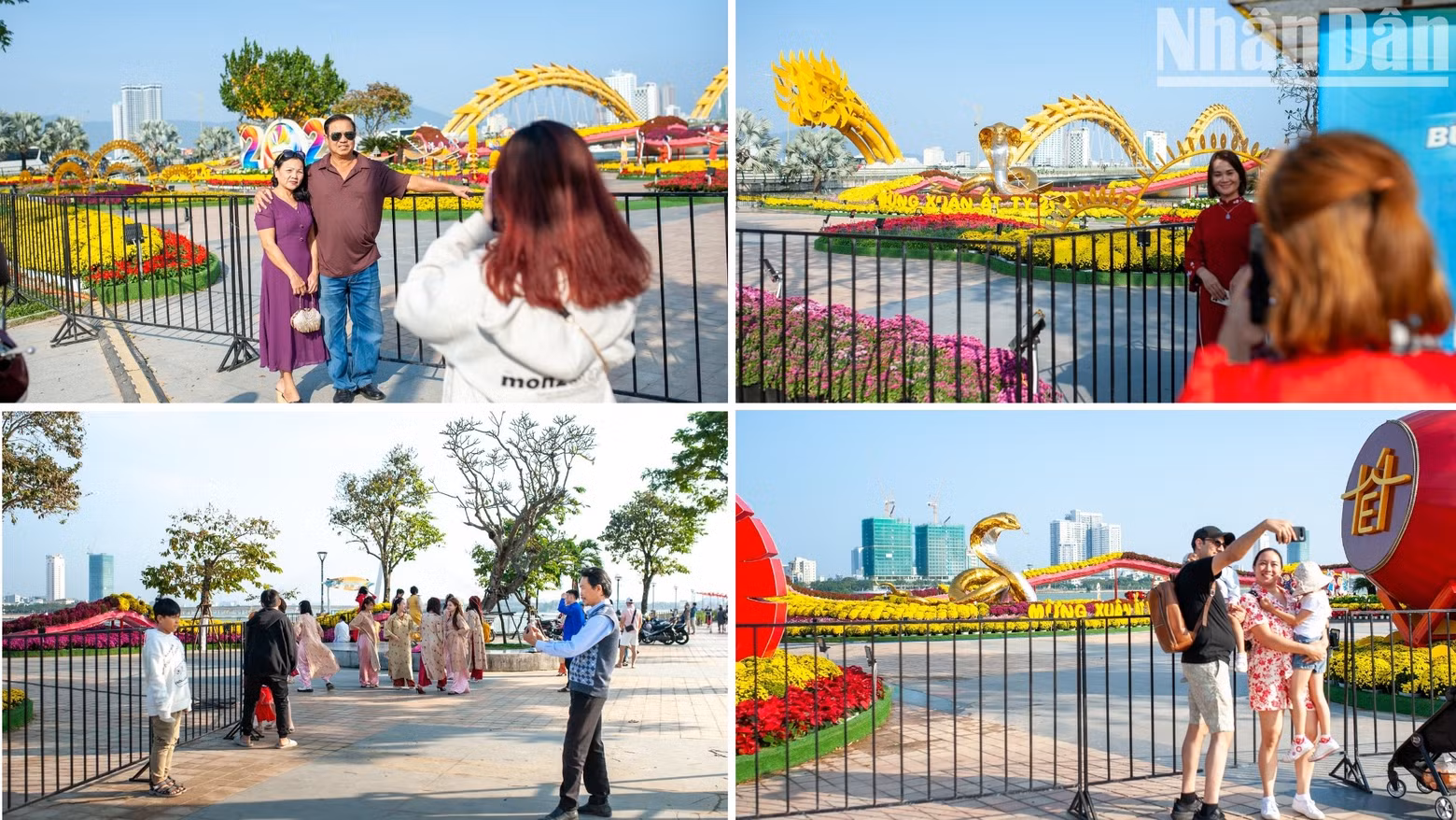 Many in Da Nang are taking the opportunity to capture photos before the Bach Dang flower street officially opens. Many in Da Nang are taking the opportunity to capture photos before the Bach Dang flower street officially opens.