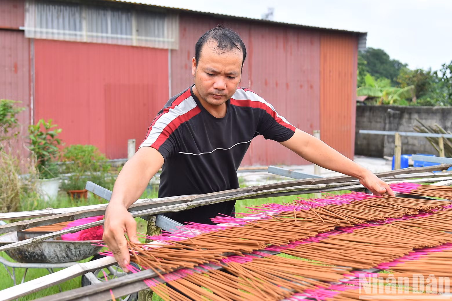 Incense sticks are left to dry in the sun, which brings the natural fragrance to the product.