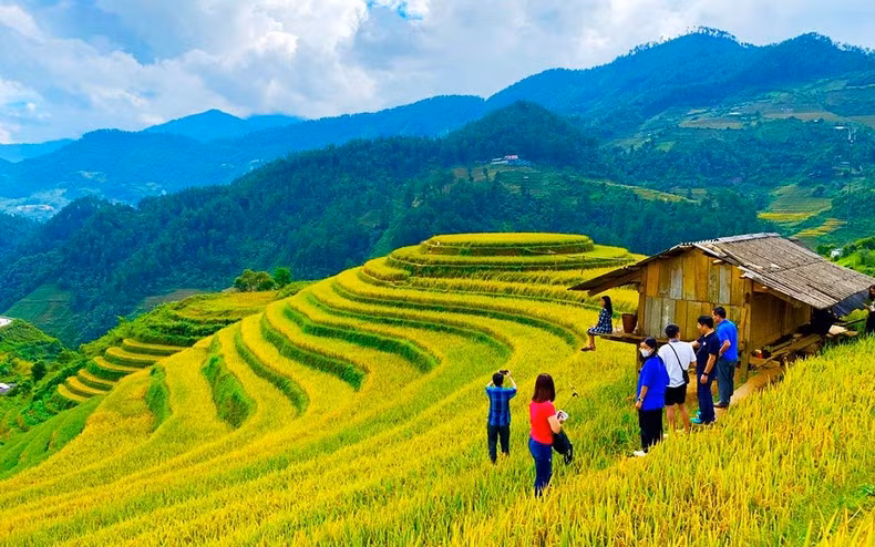 Mu Cang Chai's terraced rice fields were designated a special national heritage site by the prime minister in 2019. Mu Cang Chai's terraced rice fields were designated a special national heritage site by the prime minister in 2019.