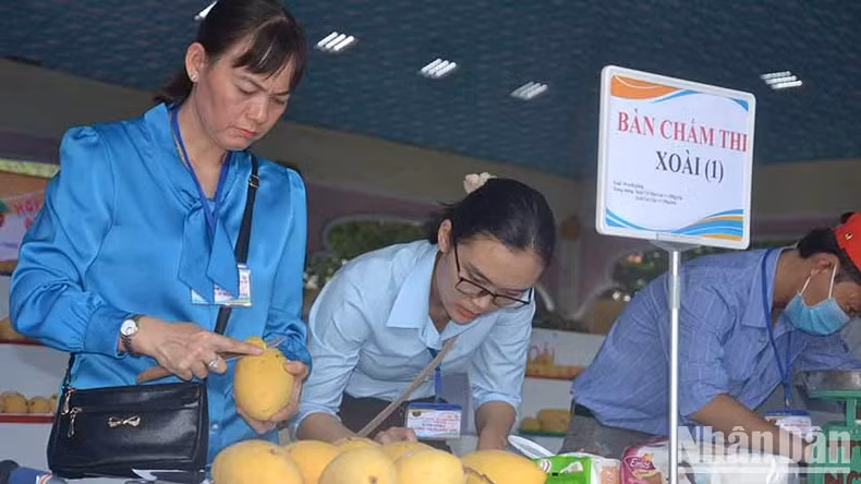 2024 Southern Fruit Festival features many attractive activities ảnh 1 2024 Southern Fruit Festival features many attractive activities ảnh 1