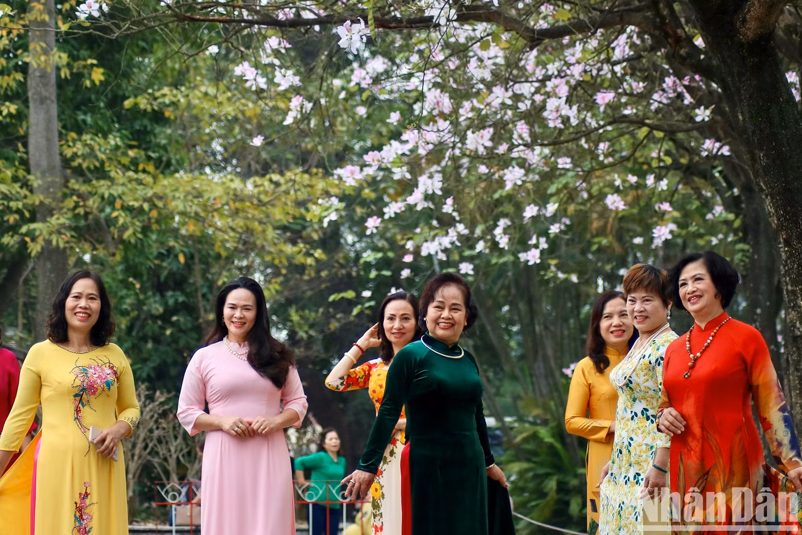 The beauty of the flowers attracts many people to pose for photos.