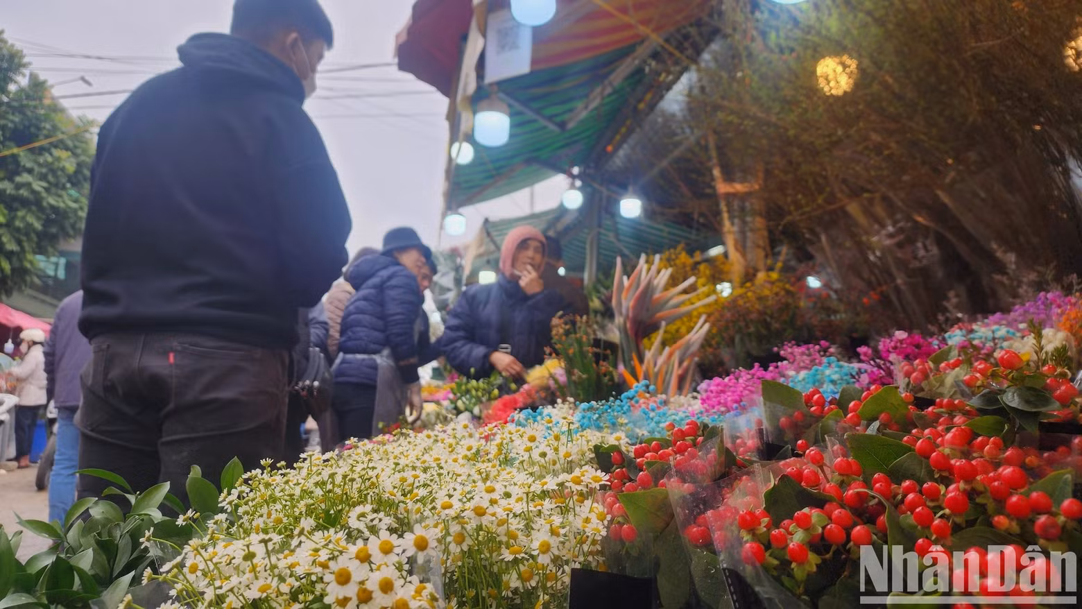 Daisies and winterberries on sale at a stall. Daisies and winterberries on sale at a stall.