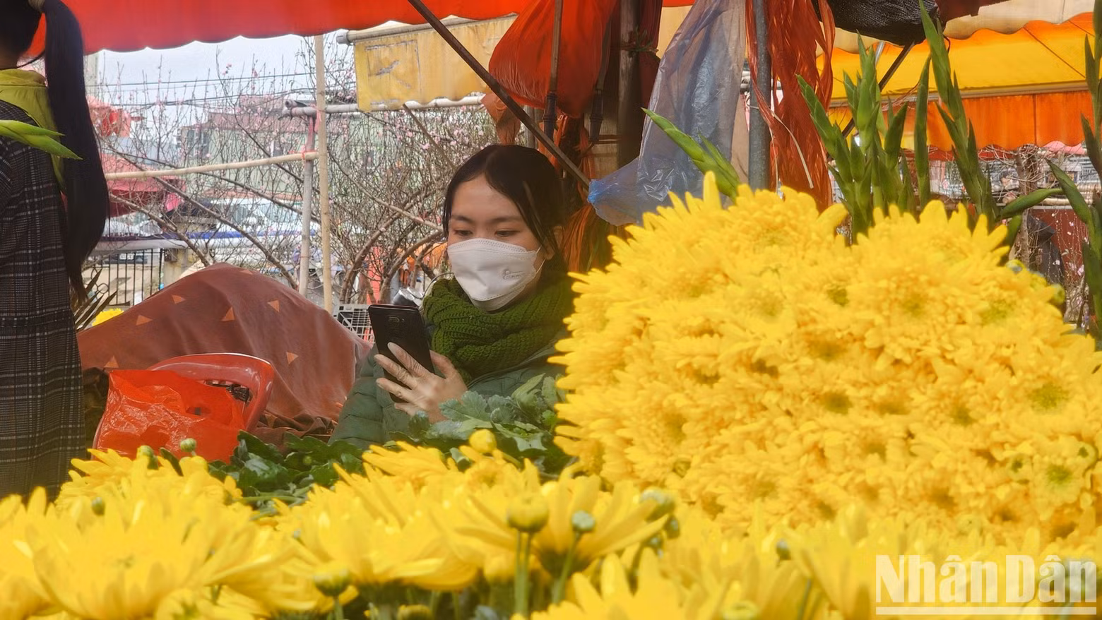 A stall selling chrysanthemums. A stall selling chrysanthemums.