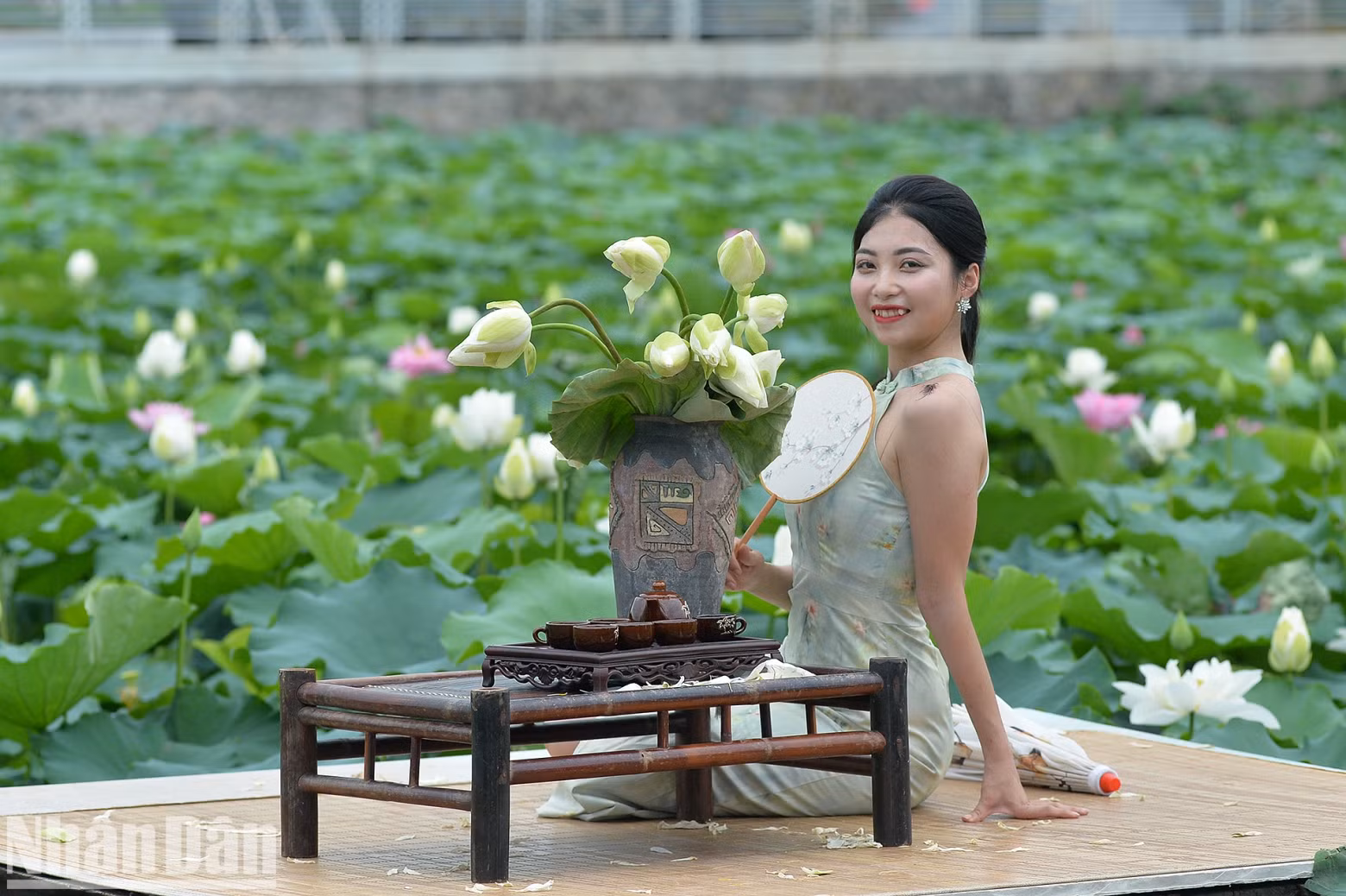 Many young people do not mind getting up at 5-6 am to visit lotus ponds to capture beautiful moments. Many young people do not mind getting up at 5-6 am to visit lotus ponds to capture beautiful moments.