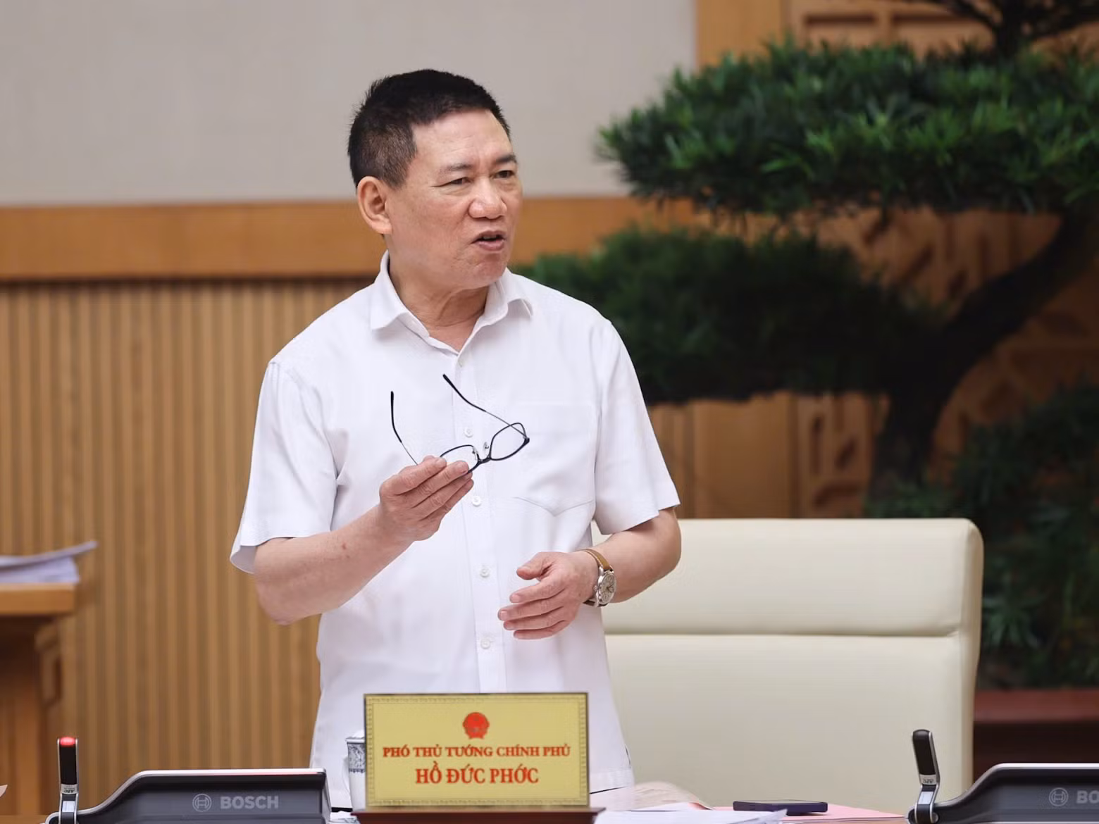 Deputy Prime Minister Ho Duc Phoc speaks at the meeting.