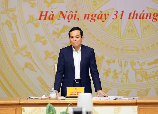 Deputy Prime Minister Tran Luu Quang speaks at the meeting. (Photo: VNA)