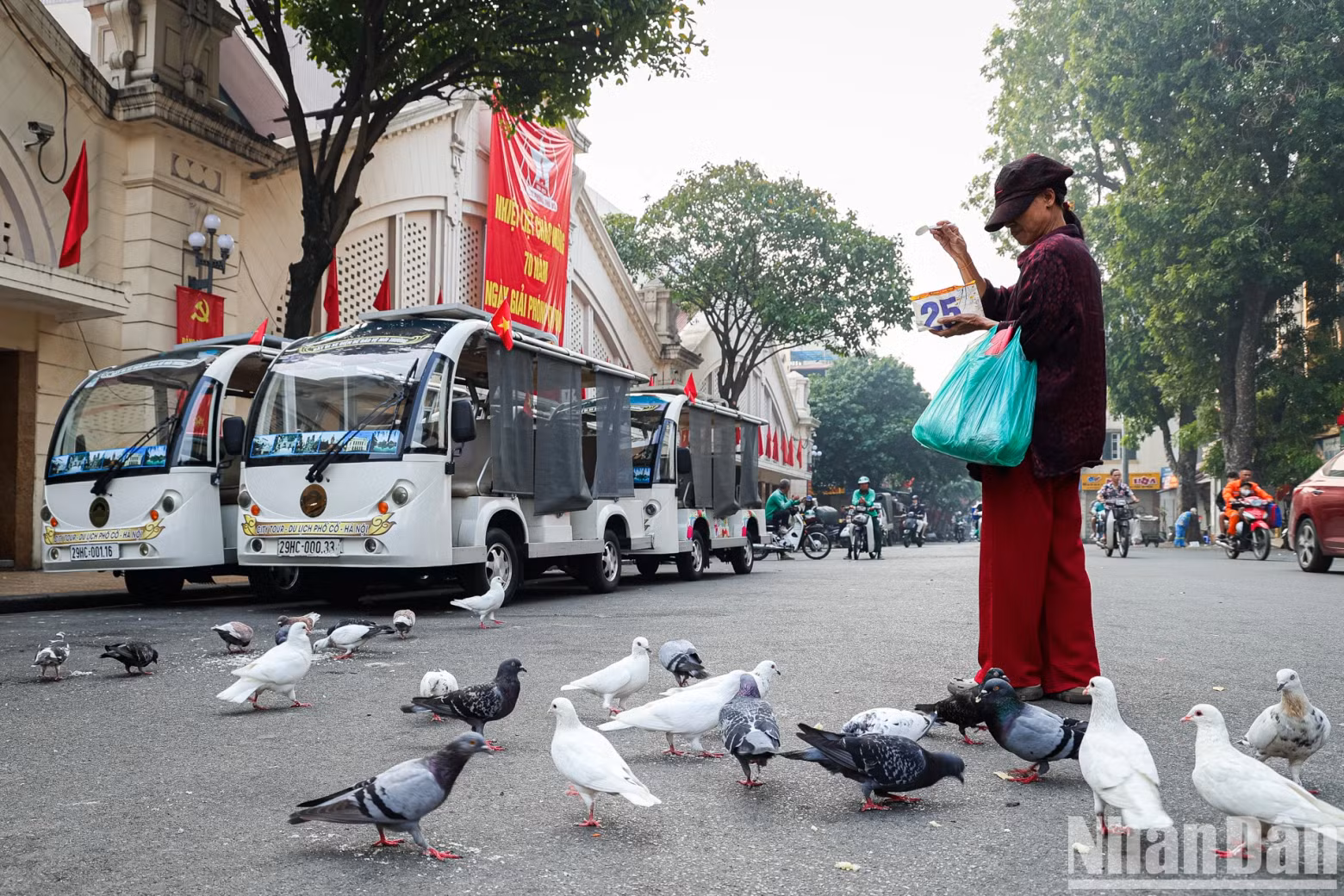People leisurely feed the pigeons, which is a familiar image that embodies the essence of Hanoi.
