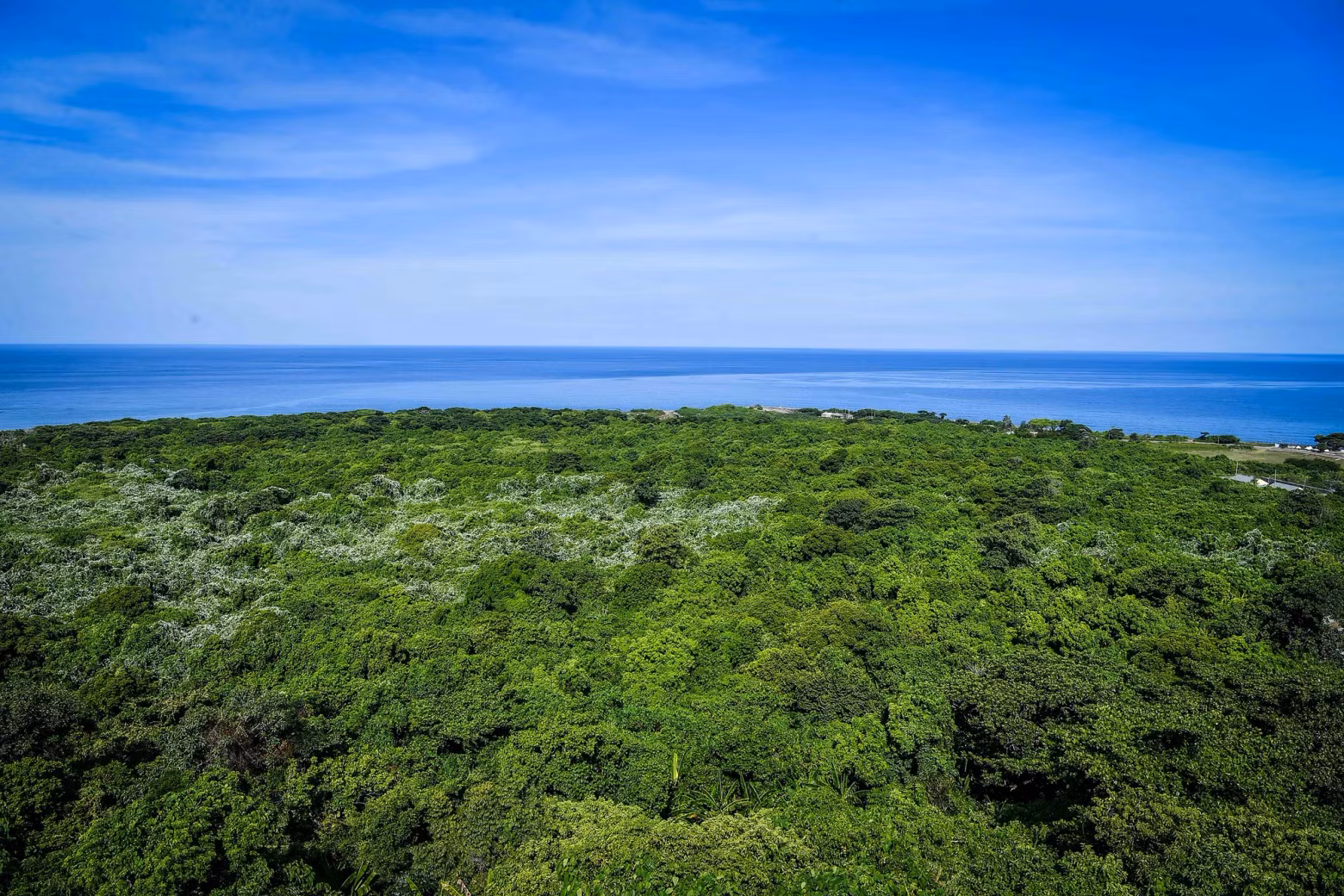 Con Co is an outlying island district of the country, situated offshore from the 17th parallel. It is renowned for its role in the fight against the Americans and is famous for three "specialties" that have become its symbols: ‘phong ba’, ‘bang vuong’ and ‘cua da’.
