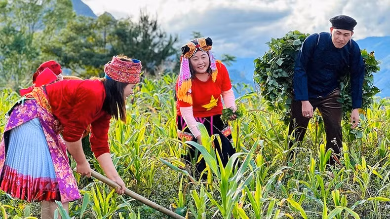 Singer Quach Beem in the MV “Ha Giang”.