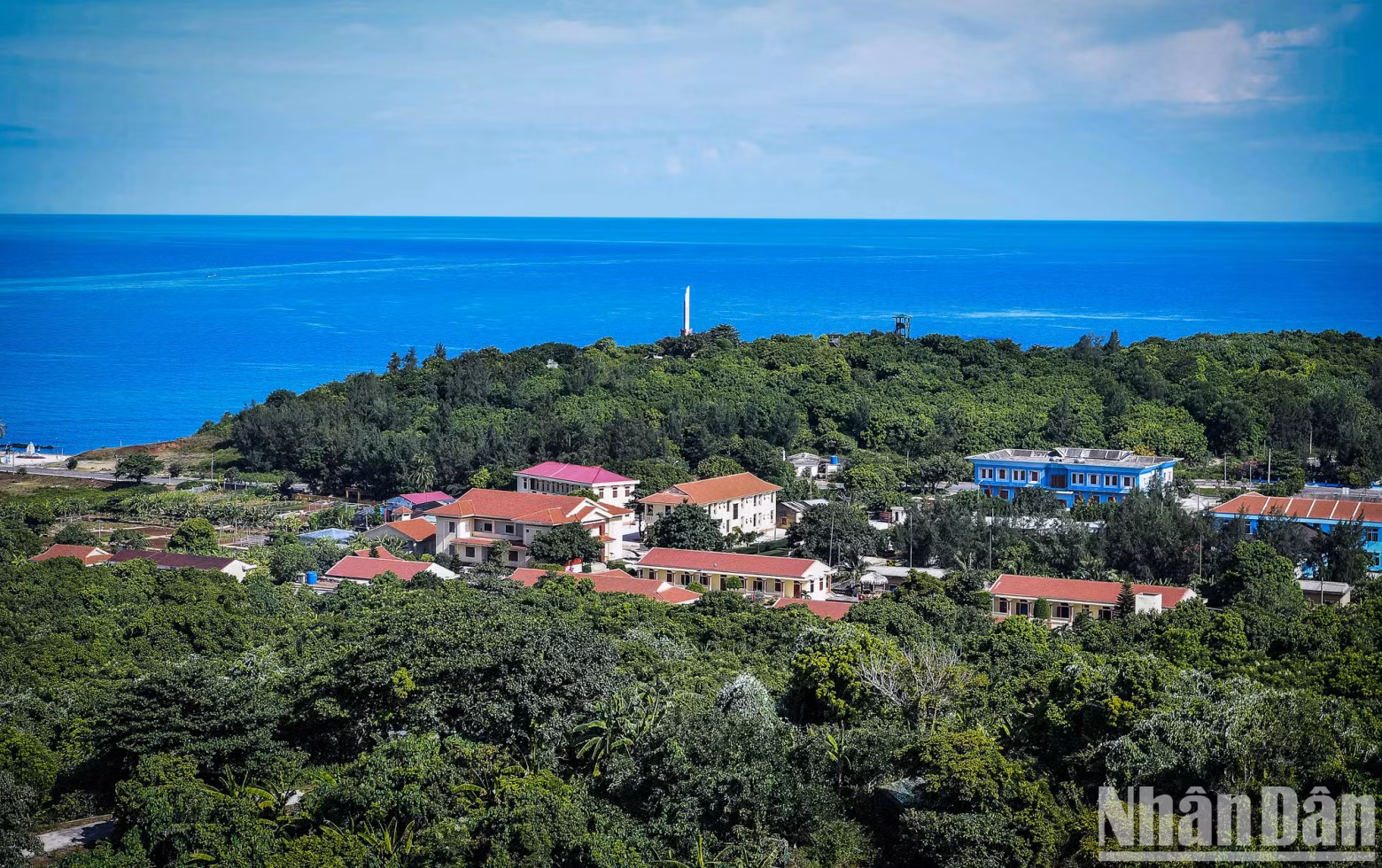 Although once ravaged by war, the primary forest on Con Co Island remains largely intact, part of a rare tropical rainforest ecosystem, with three layers of vegetation, vines, and a rich plant carpet.
