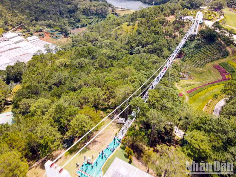 Ngan Thong Glass Bridge connects Mong Mo Hill and the Love Valley. Ngan Thong Glass Bridge connects Mong Mo Hill and the Love Valley.