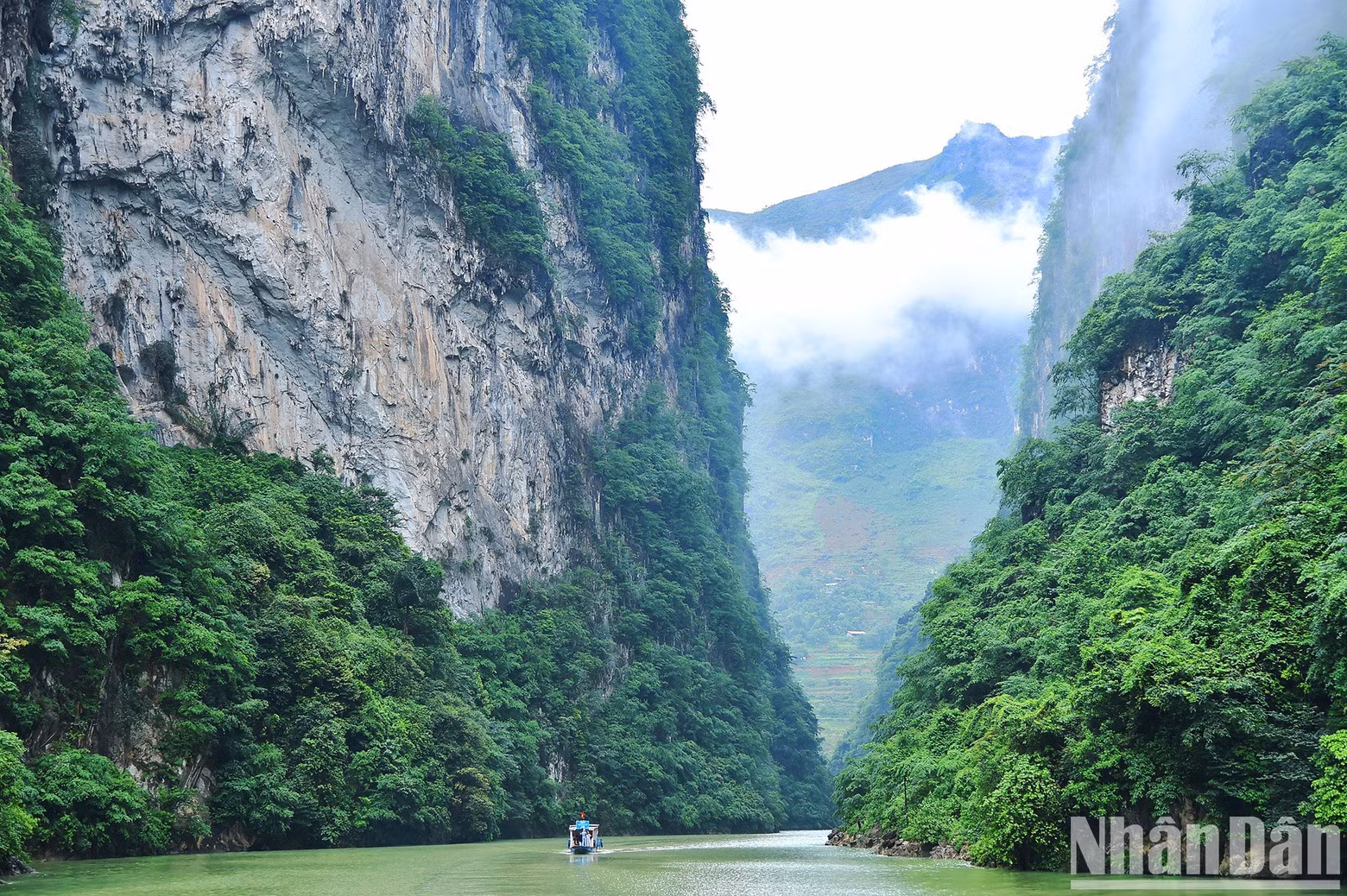 Tu San Alley, located on the Nho Que River in Meo Vac District, is as green as jade amidst the rugged mountainous terrain on a misty morning, creating a picturesque landscape.