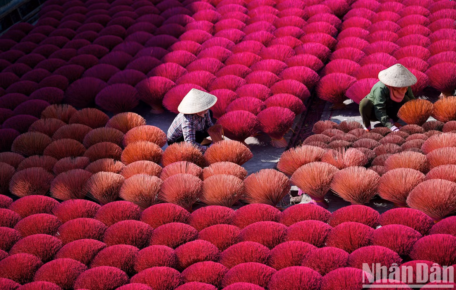 On sunny days, drying incense is one of the main jobs in the production of incense sticks. The bouquets of incense are like giant flowers under the bright sunlight.