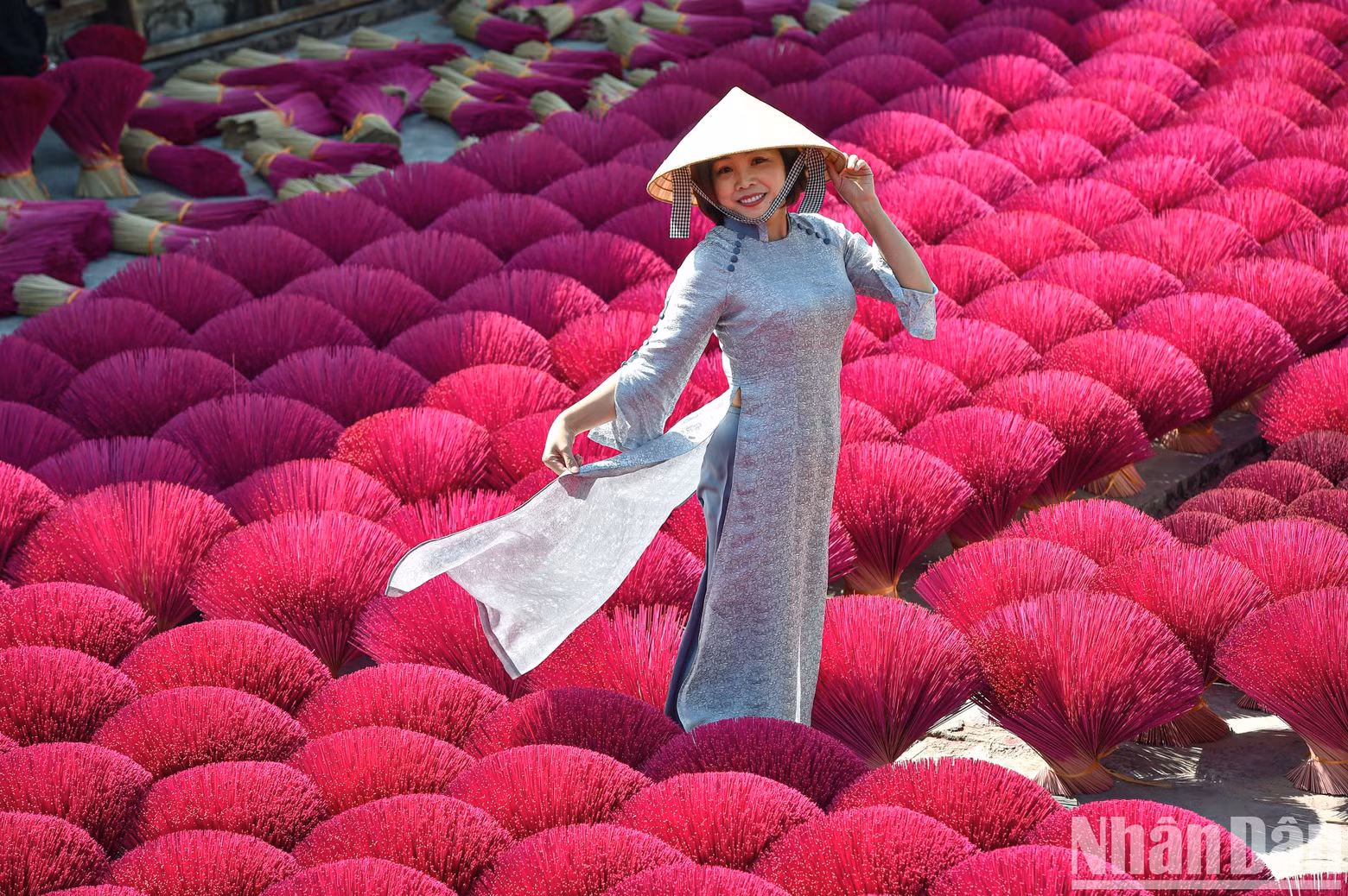 The Ao Dai (Vietnamese traditional long dress) is enchantingly beautiful beside the brilliant scenery of red incense bouquets.