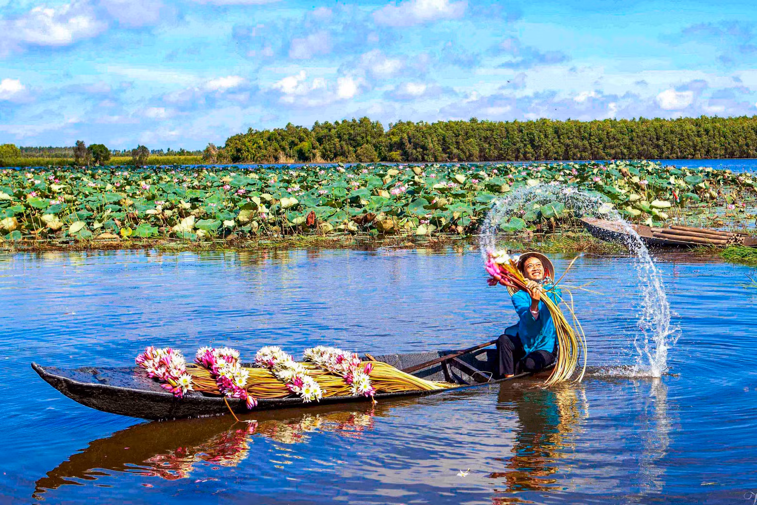 Roaming on a canoe down the vast fields or along the canals to pick water lilies has been a part of the idyllic daily life of the people for many generations. Roaming on a canoe down the vast fields or along the canals to pick water lilies has been a part of the idyllic daily life of the people for many generations.