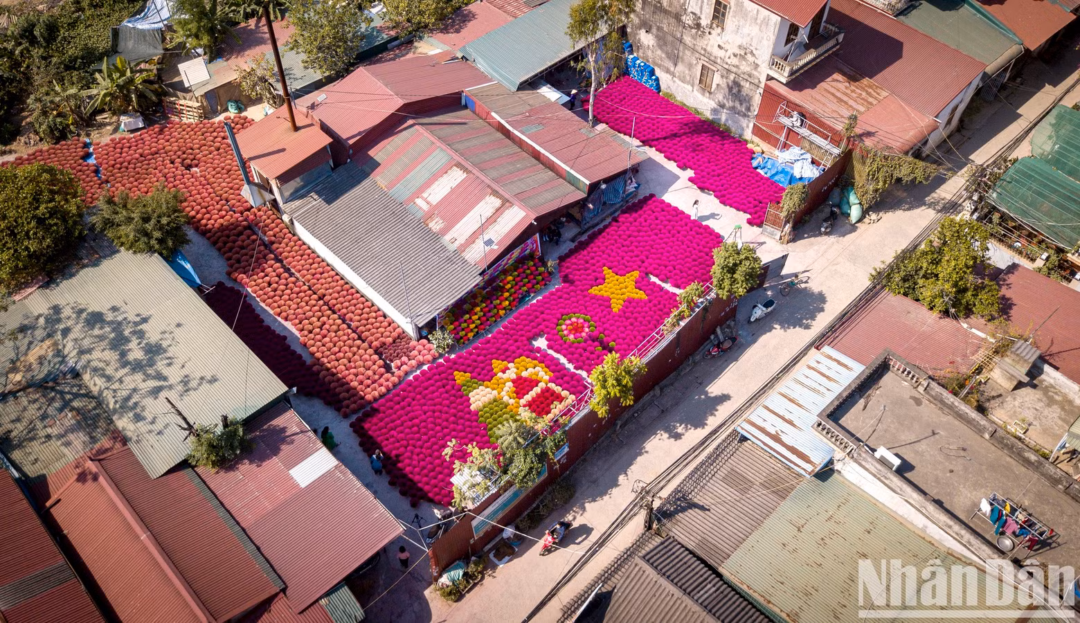 Traversing the village roads, visitors can see wide courtyards filled with bunches of red incense under the bright yellow sunlight. Here, people use the yards, communal houses, and empty fields to dry incense, creating impressive scenery.