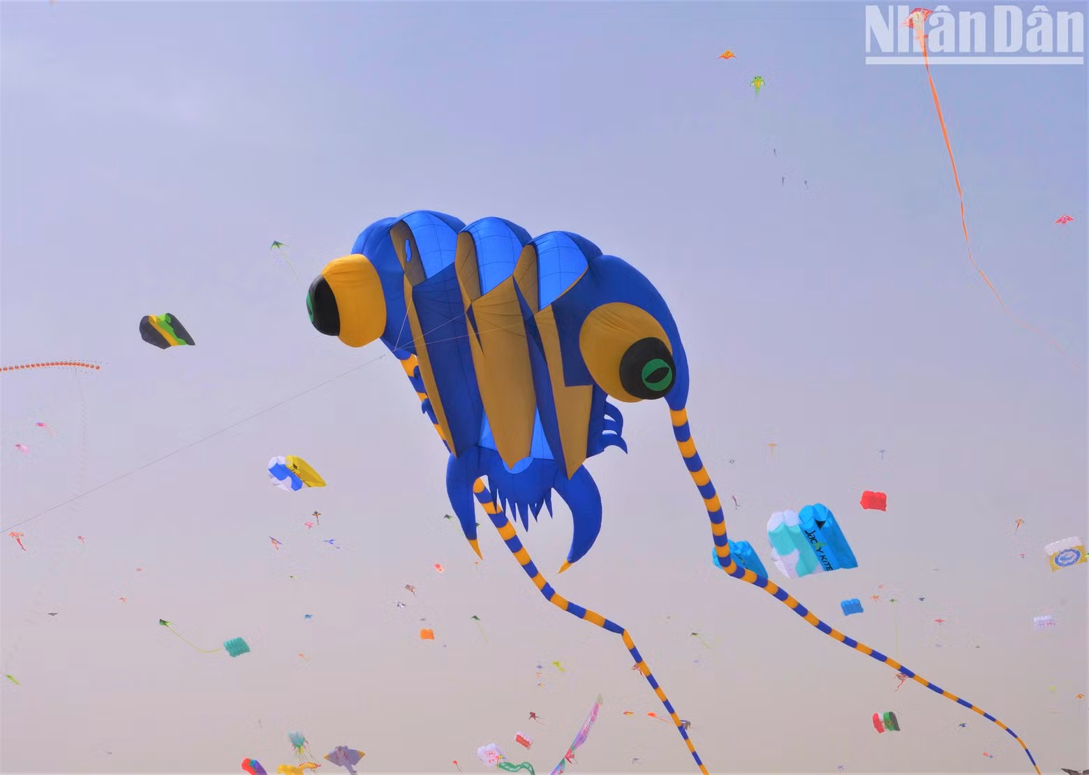 A kite stands out in the air. (Photo: HUU HUNG)