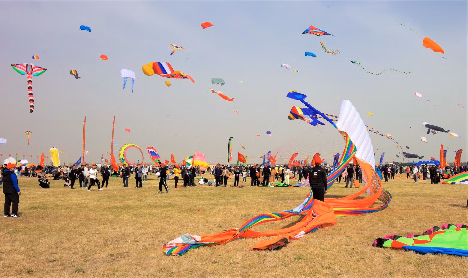 The competition at the festival (Photo: TAN)