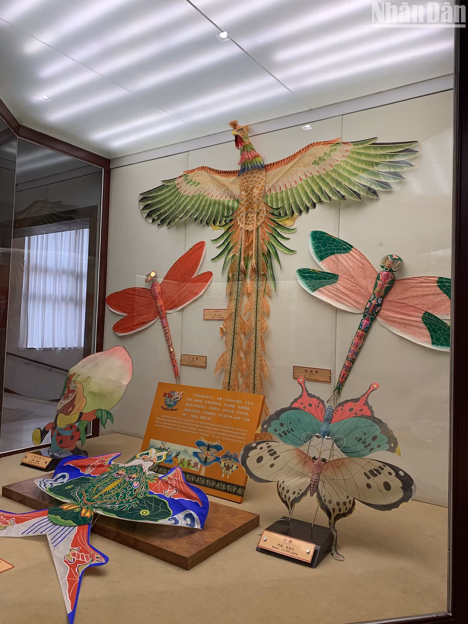 The kites from China and other foreign countries are on display at the Weifang Kite Museum. (Photo: HUU HUNG)