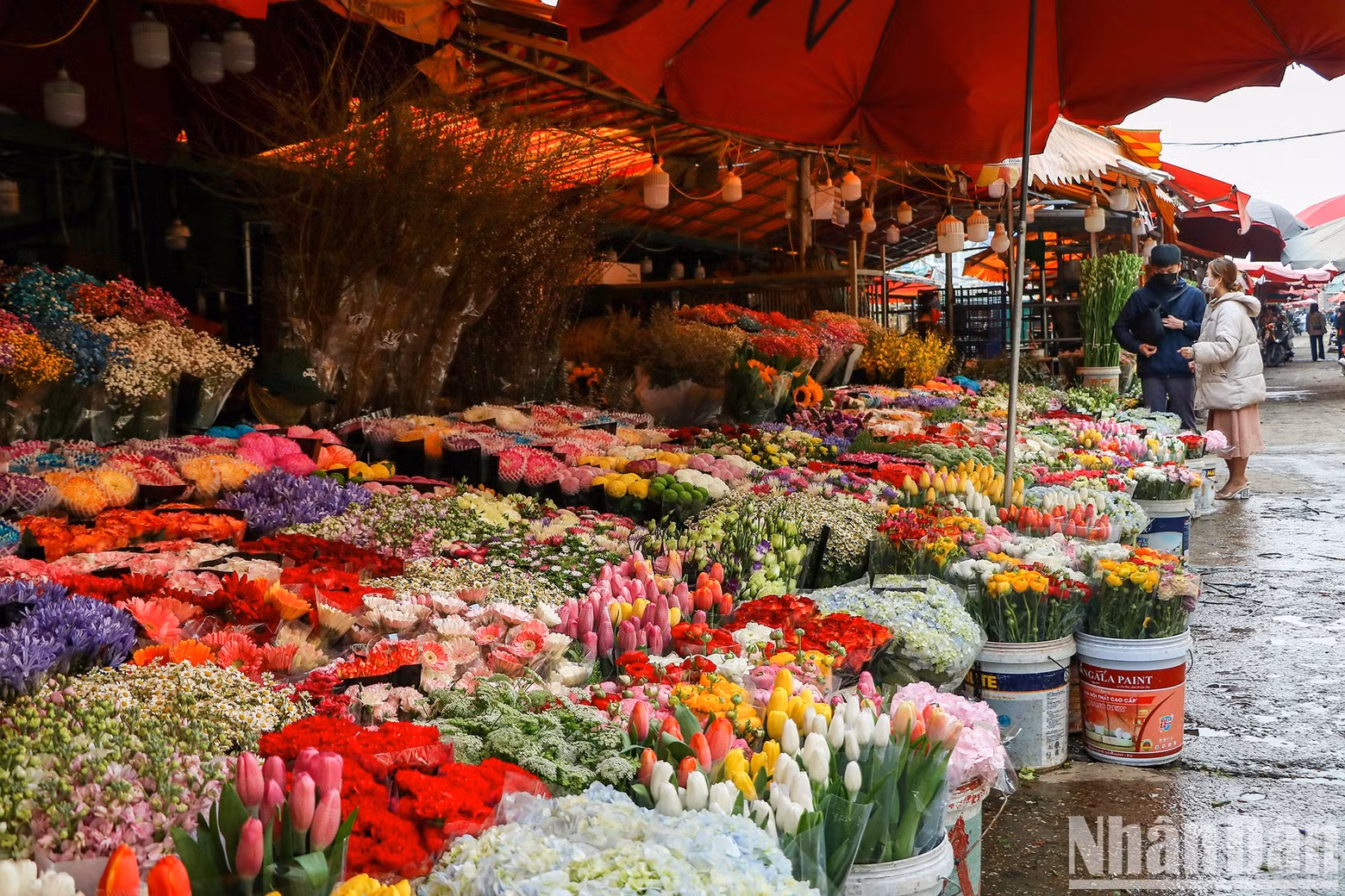 Many kinds of flowers are sold at the market to meet the consumers’ demand.