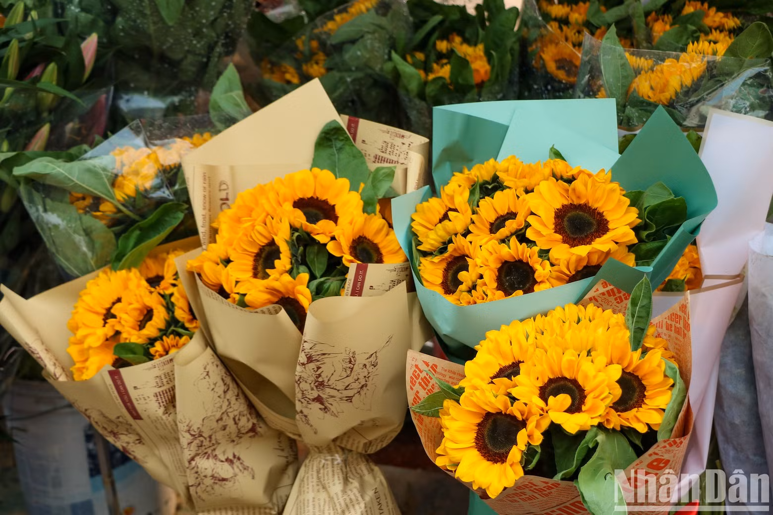 Sunflowers are also a favourite flower sold at about 60,000 VND per dozen.