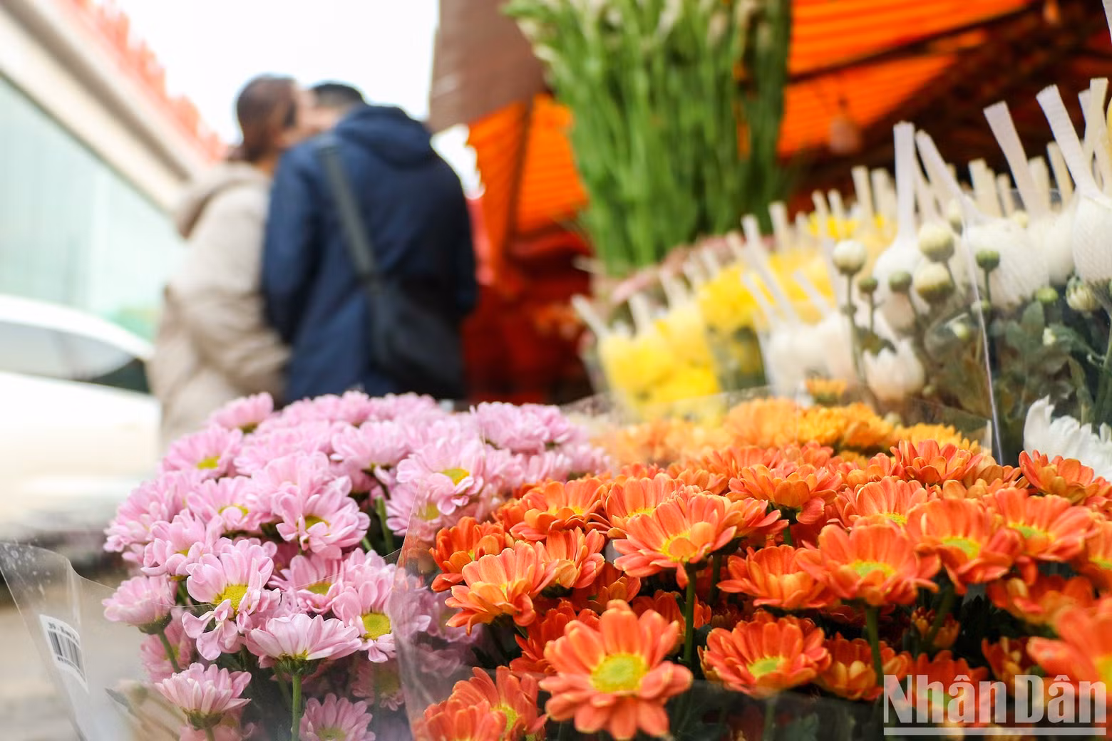 On special occasions such as Valentine's Day (February 14) or International Women’s Day, the demand for flowers increases dramatically at these places.