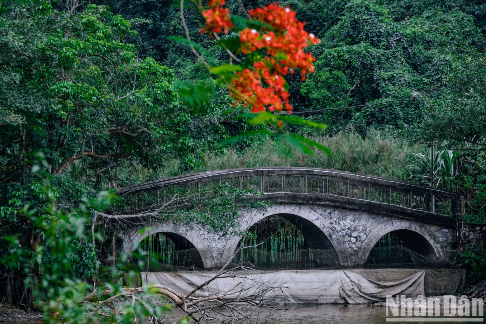 In addition to its conservation role, Cuc Phuong National Park has long been famous as an eco-tourism area for nature lovers.