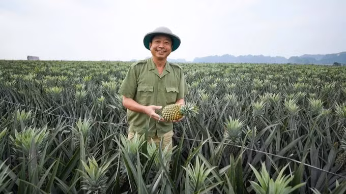 Fruits and vegetables are a strong product of Vietnam, currently present in more than 60 markets. (Photo: Nongnghiep.vn)
