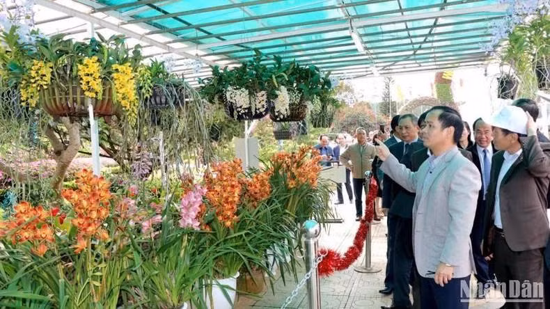 A space displays orchid
