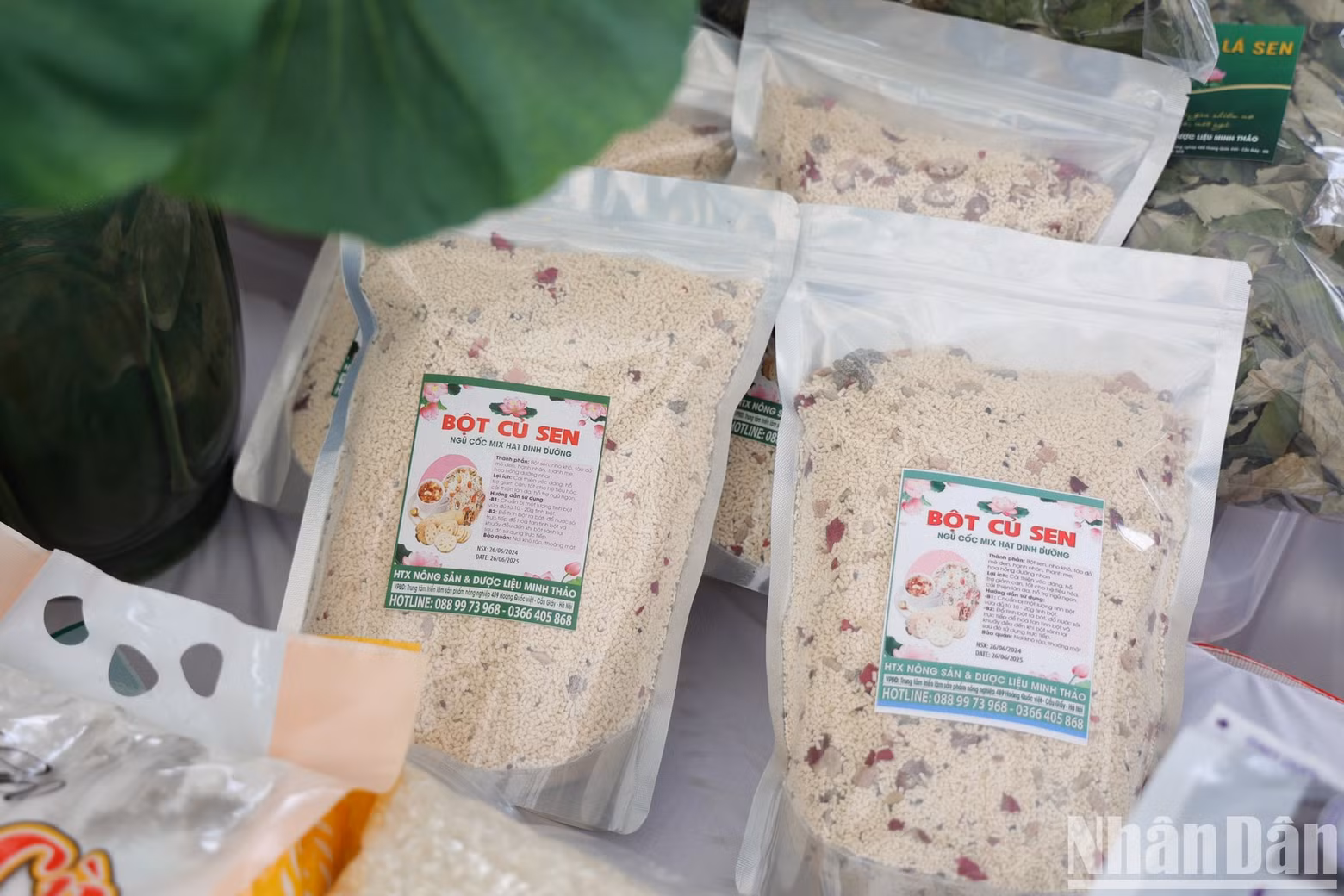 Lotus roots and seeds are made into tasty and nutritious dishes.