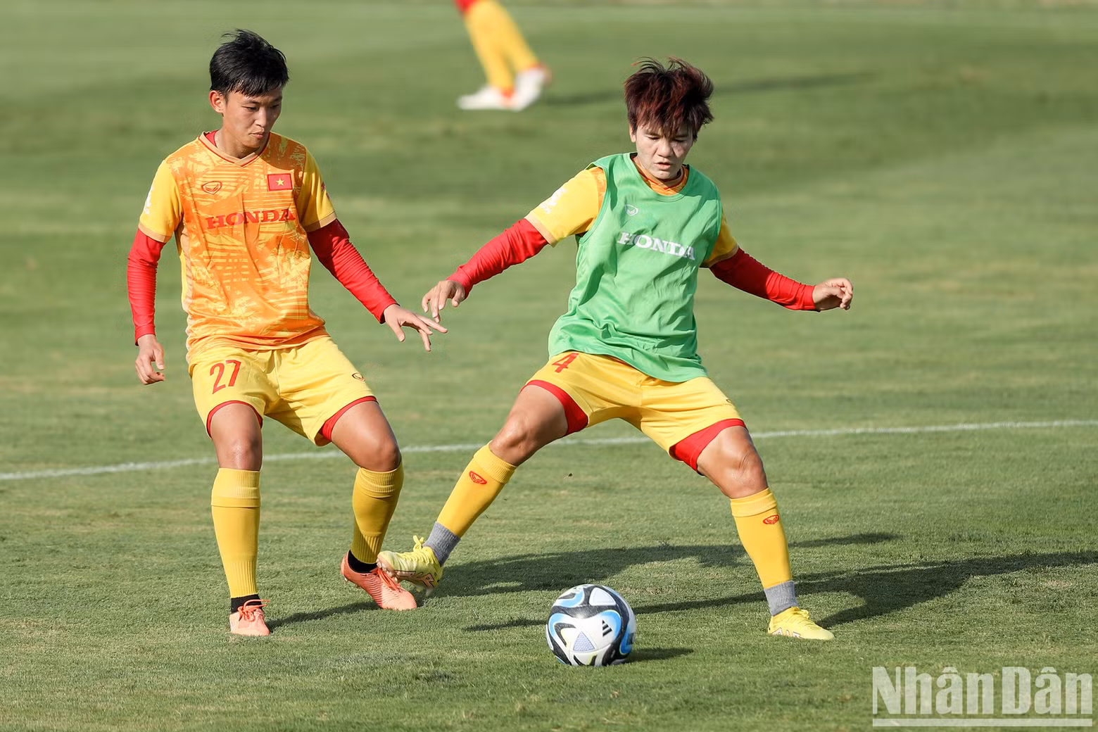 The players are divided into two teams to compete against each other.