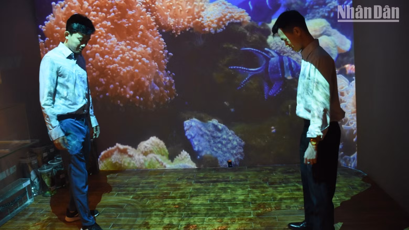 Imprints of marine culture with the most modern automatic sensor technology applied at Da Nang Museum. (Photo: ANH DAO) Imprints of marine culture with the most modern automatic sensor technology applied at Da Nang Museum. (Photo: ANH DAO)