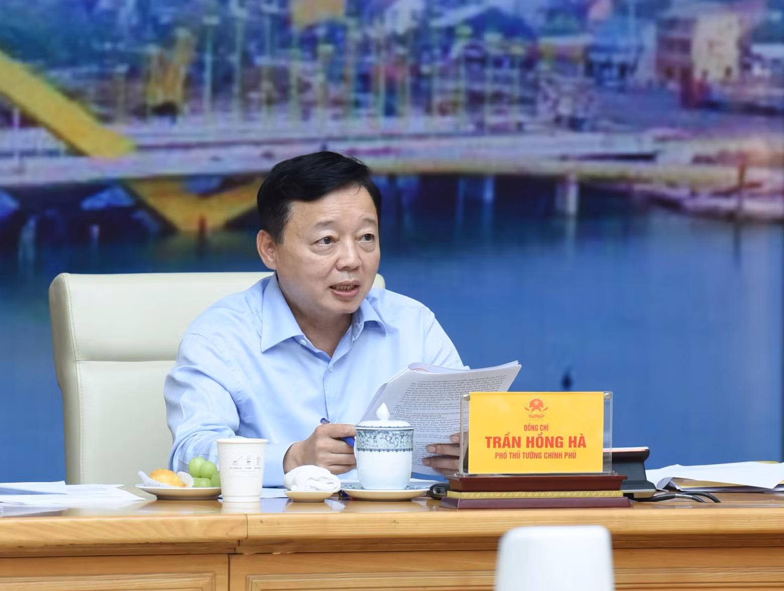 Deputy Prime Minister Tran Hong Ha speaks at the meeting.