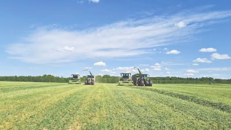 Harvesting in TH Group’s fields in Kaluga. Harvesting in TH Group’s fields in Kaluga.