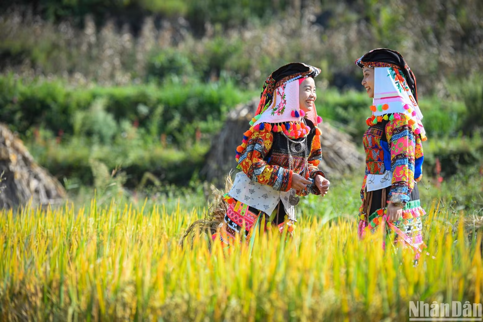 Lo Lo ethnic women dressed in their traditional costumes.