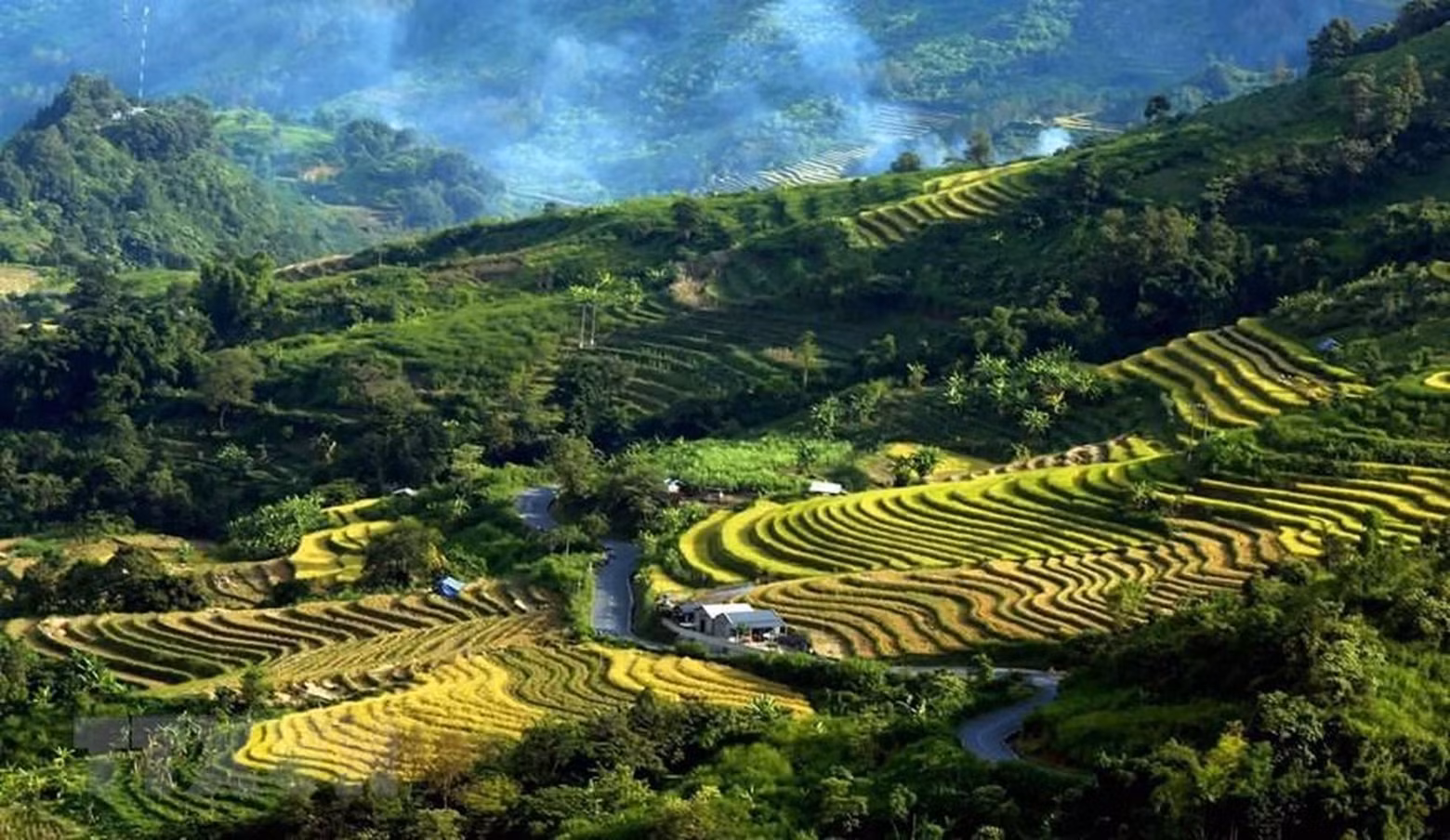 Rice-terraced fields shimmer under the autumn sunlight.