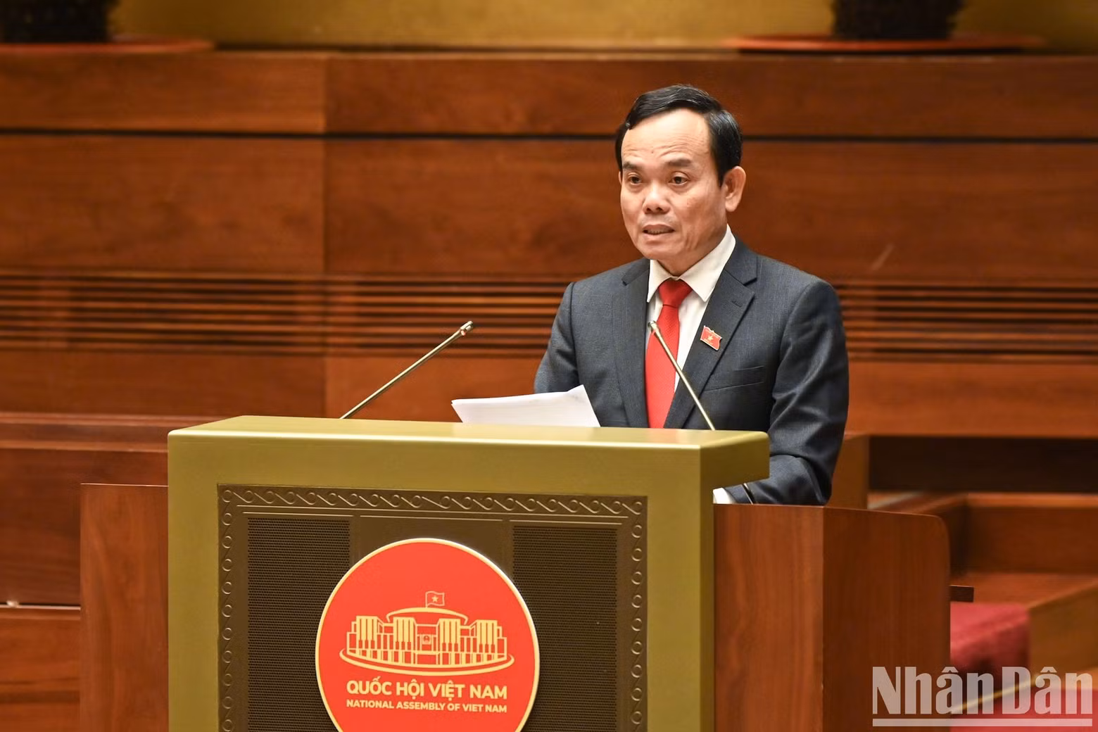 Deputy Prime Minister Tran Luu Quang speaks at the conference.