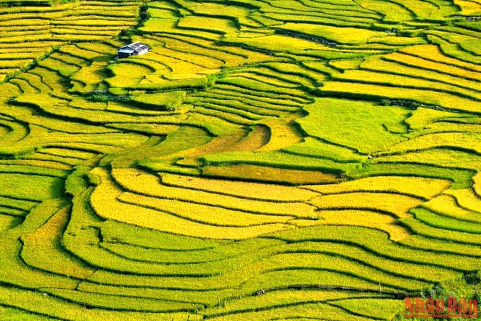 The scenery is as beautiful as a colourful landscape painting. The scenery is as beautiful as a colourful landscape painting.