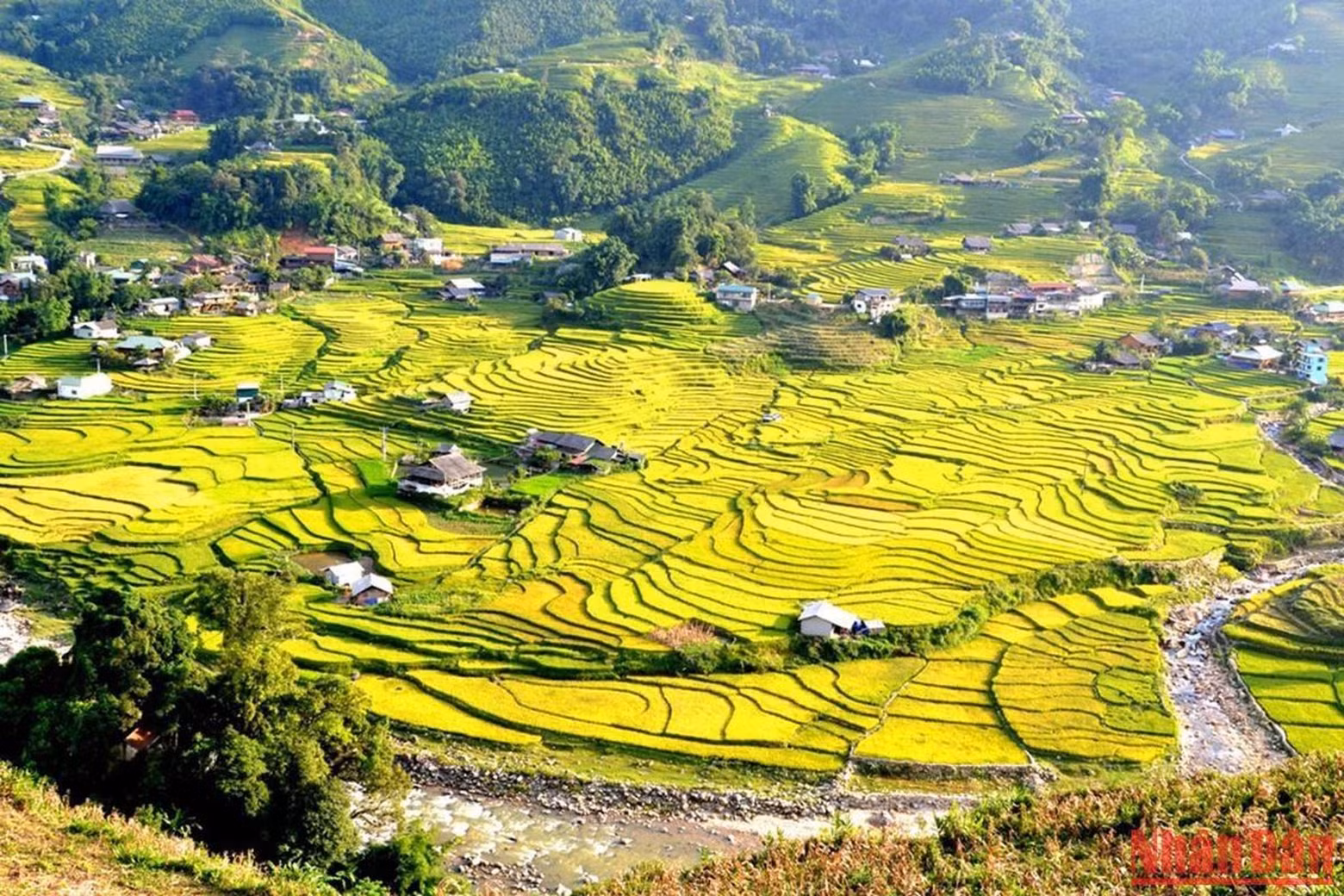 The terraced fields are as majestic as the fingerprints The terraced fields are as majestic as the fingerprints