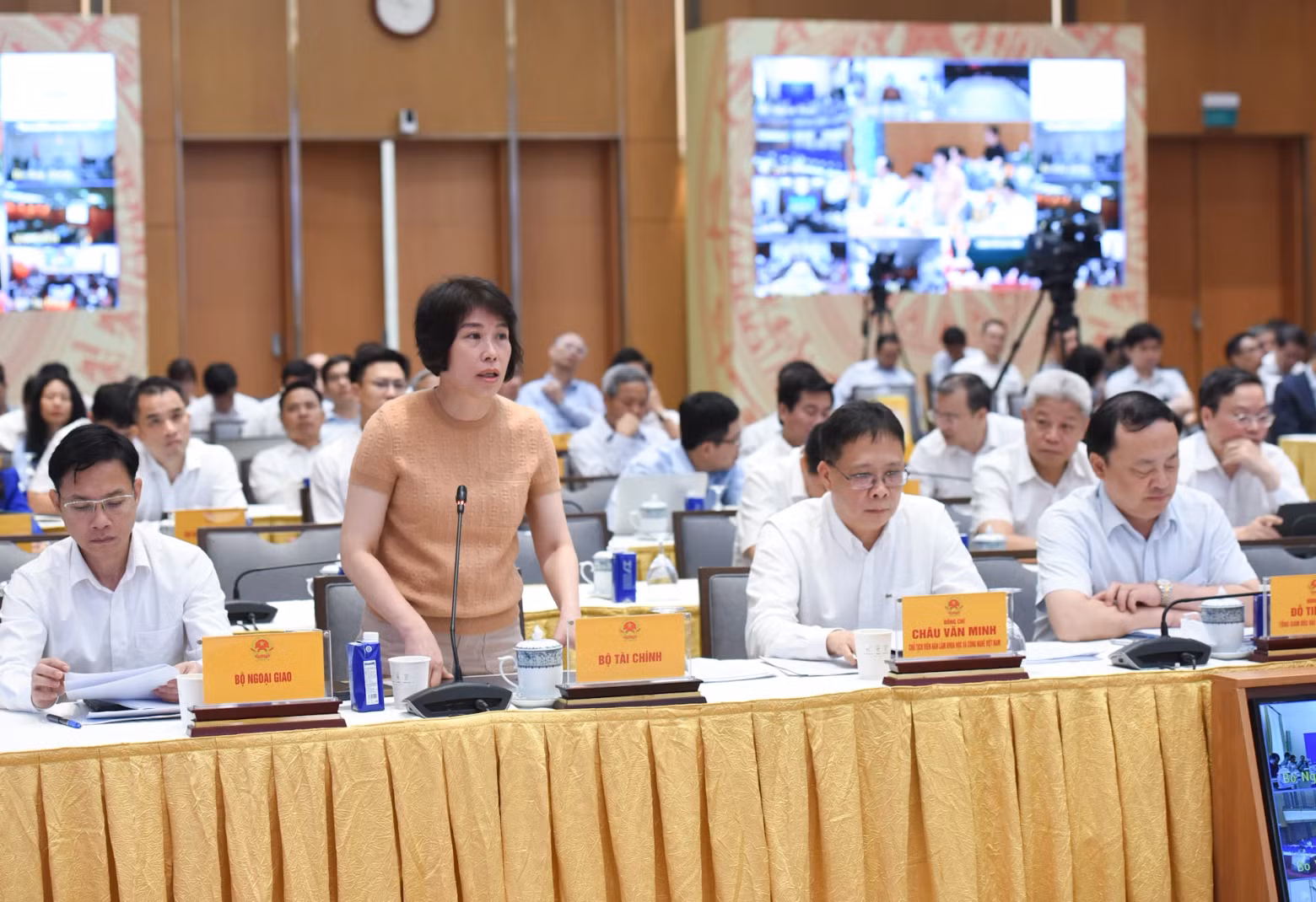 Deputy Minister of Finance Nguyen Thi Bich Ngoc speaks at the meeting.