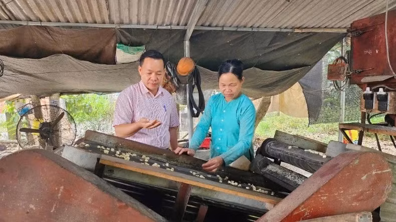 Policy credit officers always stay close to the grassroots, working closely with poor households to guide them in borrowing and using capital effectively.