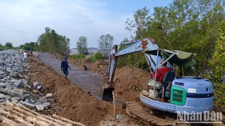 The West Sea Dike Protection Project (Ca Mau) against high tides and rising sea levels
