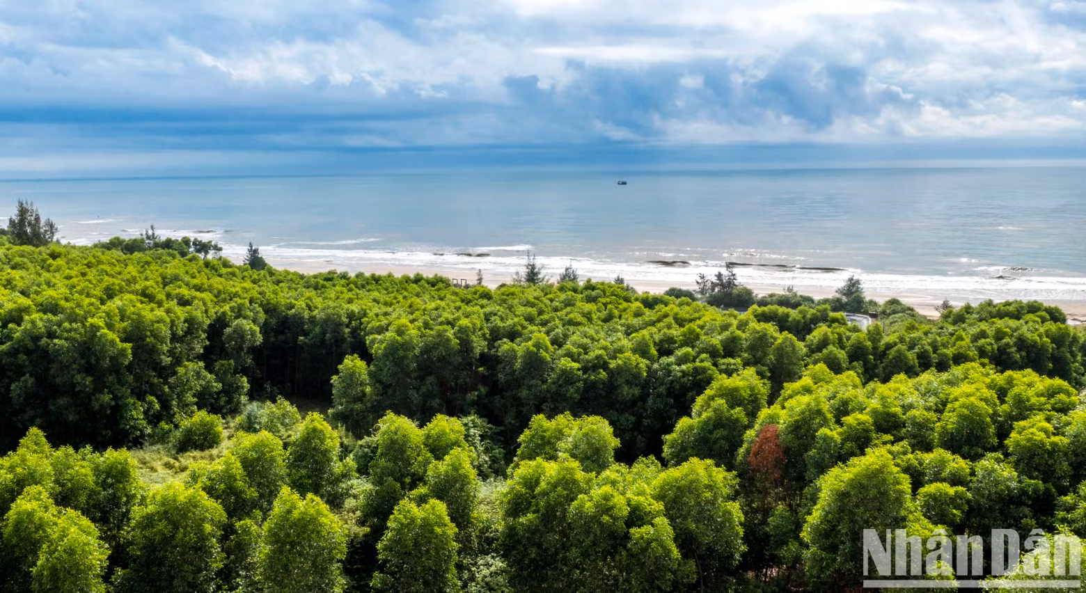 With a coastline of 14.5km and clean natural conditions, Vinh Thai Beach has great potential for tourism development.