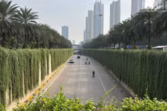 [In Pictures] Bridge columns and underpasses in Ha Noi begin to turn green
