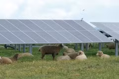 Solar panels at the Francisco Pizarro solar power plant in Caceres, Spain, in 2023. (Photo: Xinhua)
